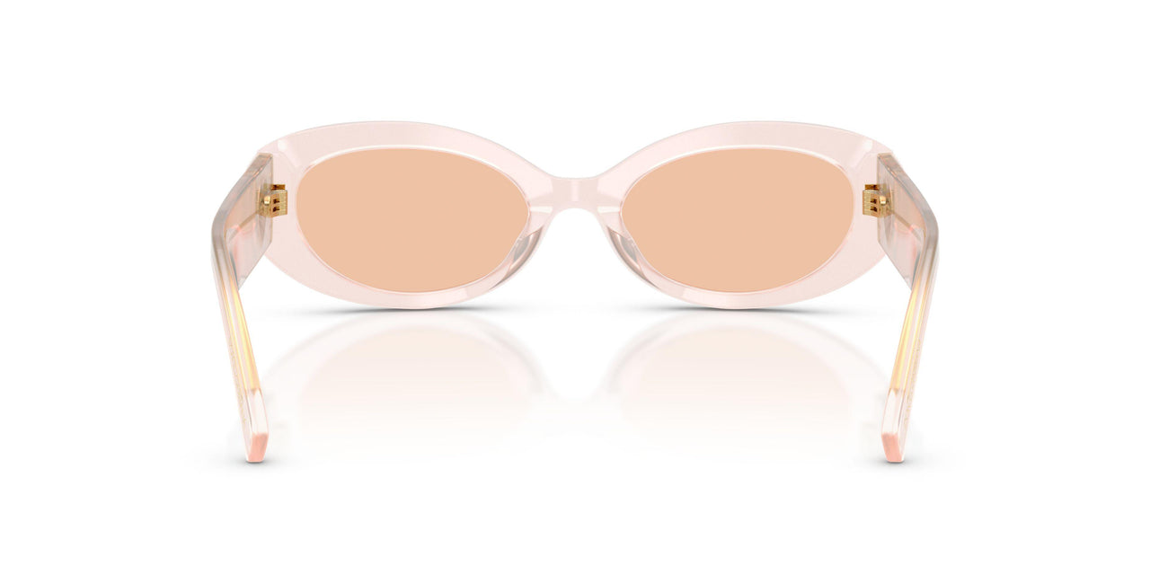 304173 - Grey - Light Brown