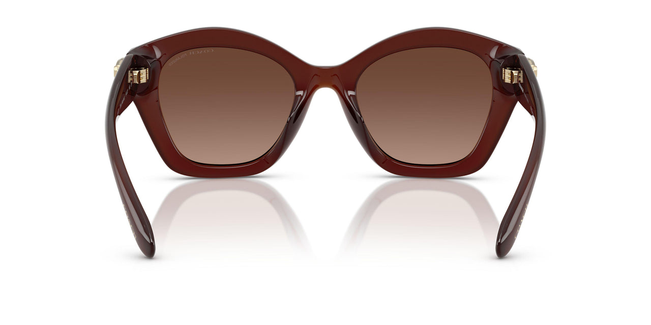 5841T5 - Brown - Brown Gradient Polar