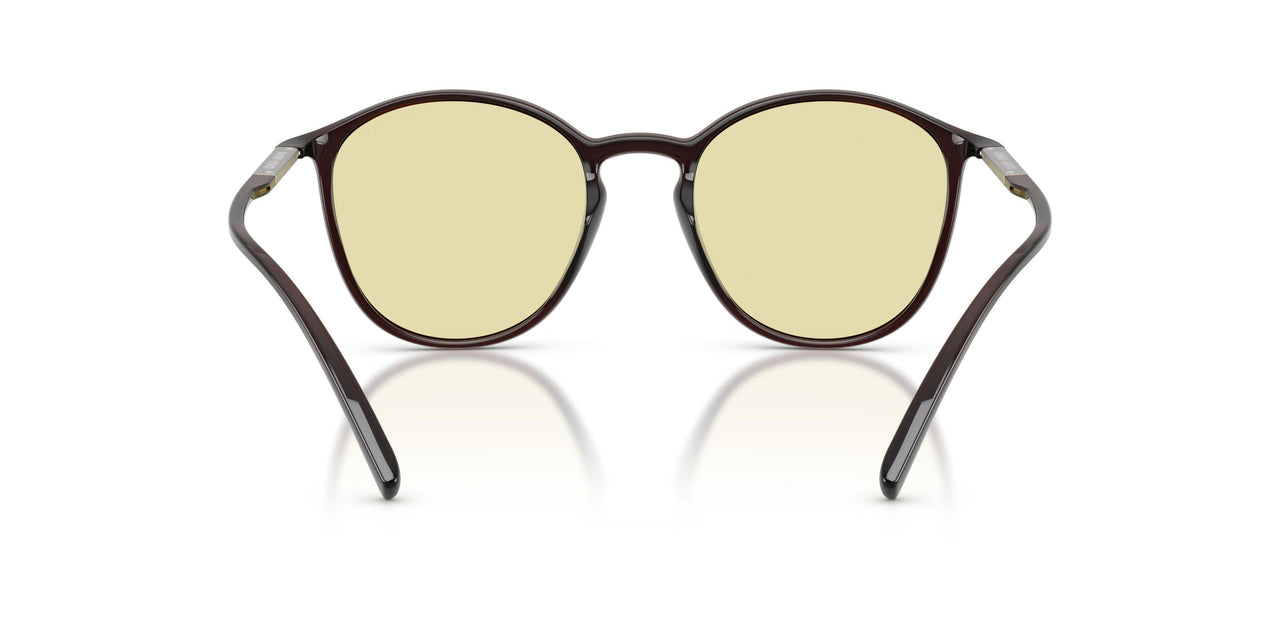 6239M4 - Brown - Photochromatic Brown