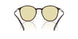 6239M4 - Brown - Photochromatic Brown