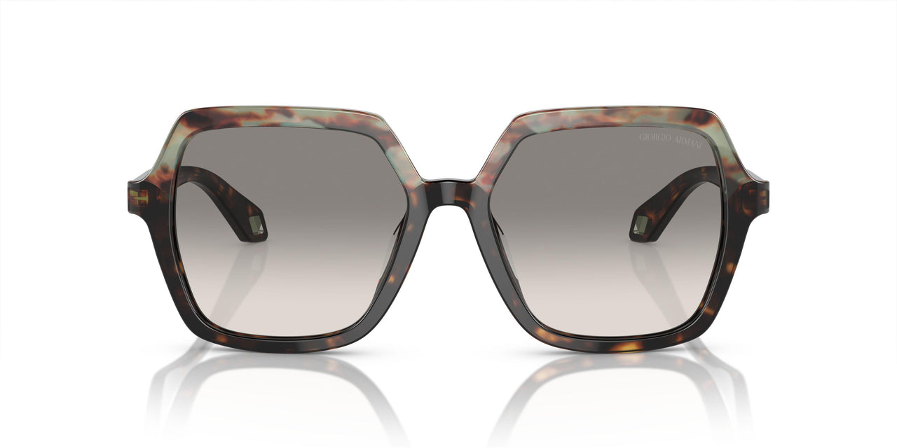 587932 - Brown - Clear Gradient Grey