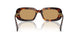 27L10Y - Tortoise - Brown