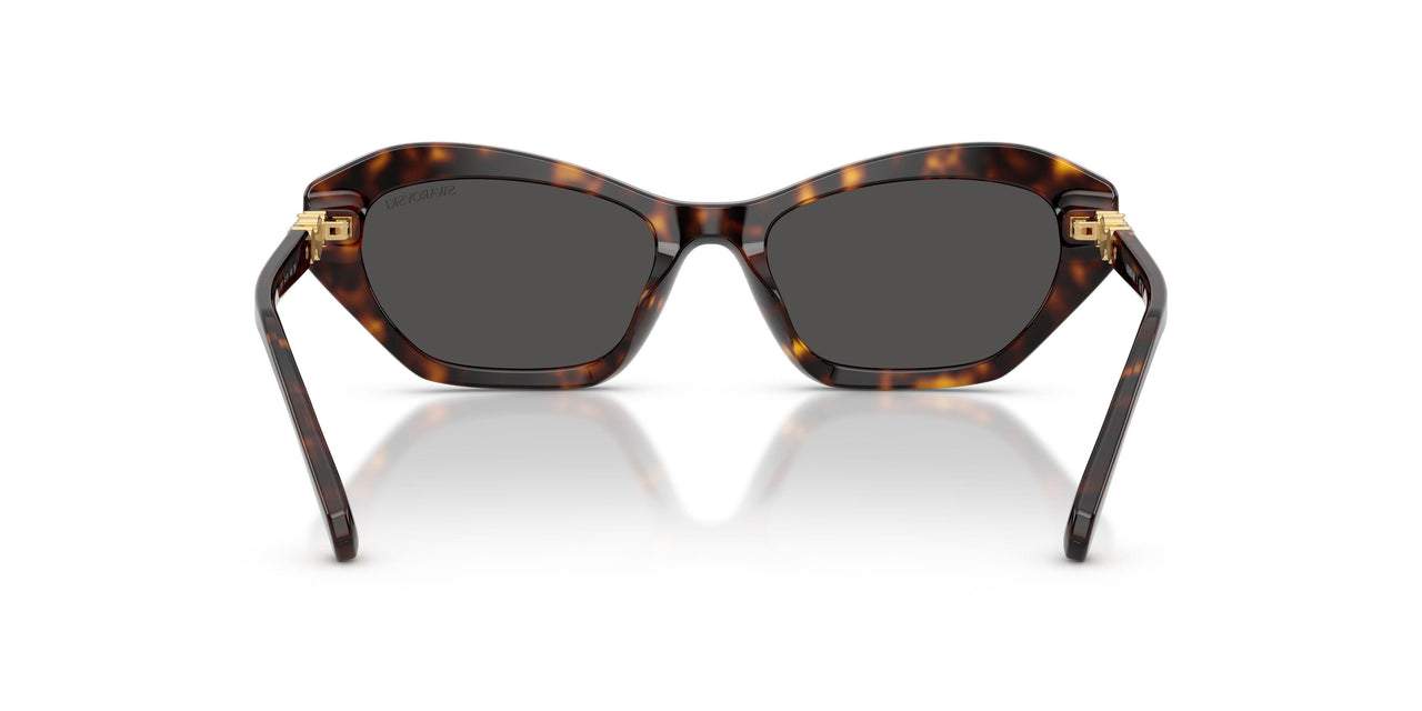 100287 - Tortoise - Dark Grey