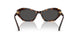 100287 - Tortoise - Dark Grey