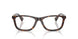5003 - Tortoise