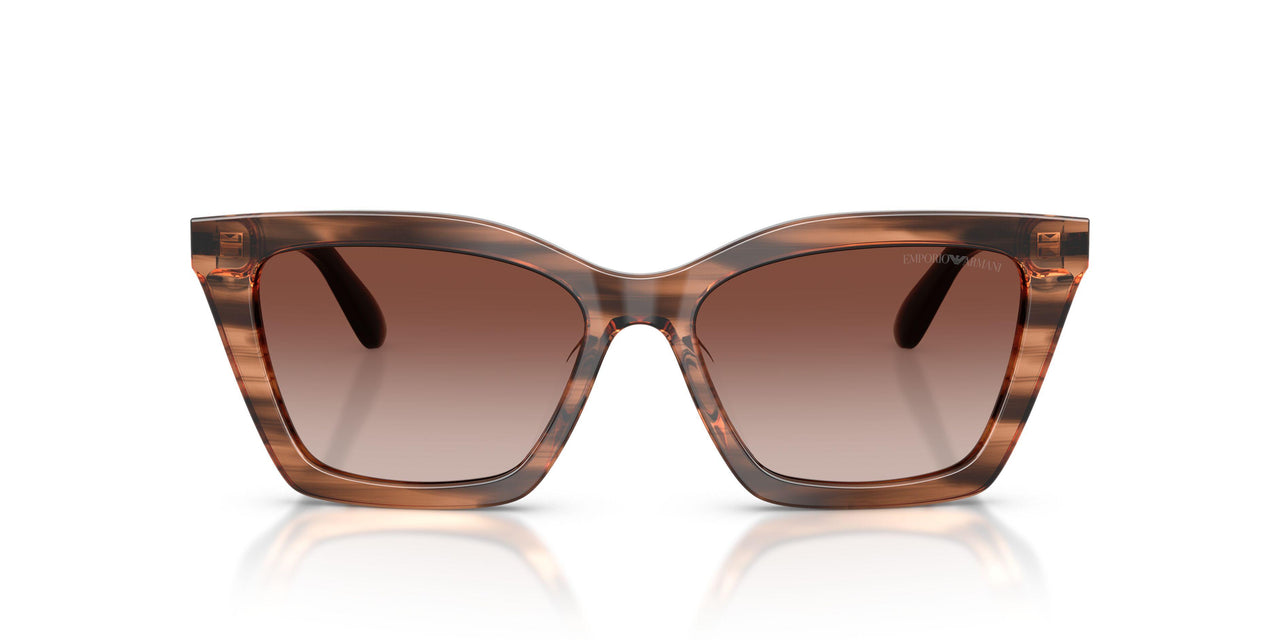 626613 - Brown - Gradient Brown