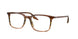 8255 - Brown - Clear