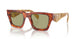 11P60C - Brown - Green