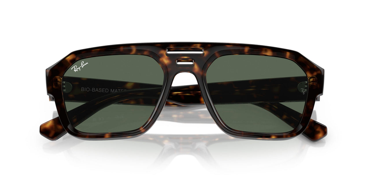 135971 - Tortoise - Dark Blue