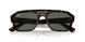 135971 - Tortoise - Dark Blue