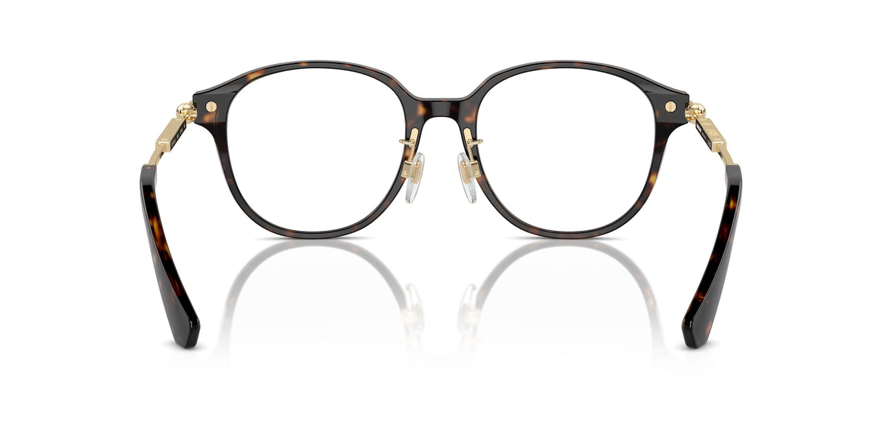 3002 - Brown