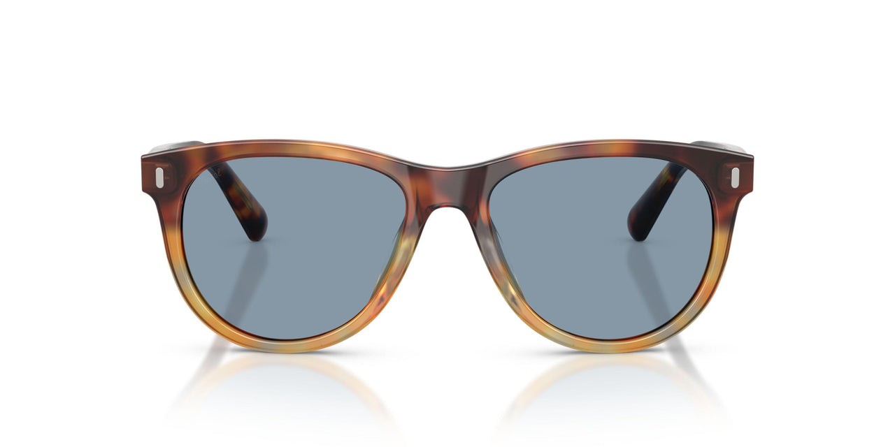 115856 - Tortoise - Light Blue