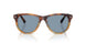 115856 - Tortoise - Light Blue