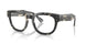 8117 - Tortoise - Clear