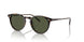 174152 - Tortoise - G-15