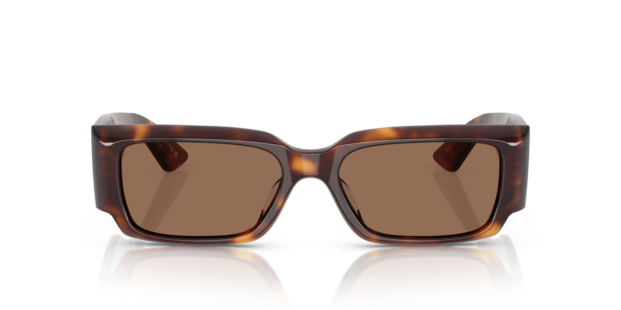 100773 - Tortoise - Brown