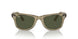138731 - Grey - Green