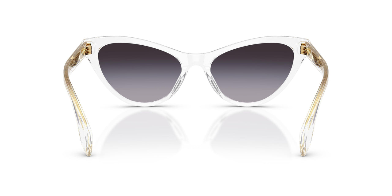 148/8G - Transparent - Grey Gradient