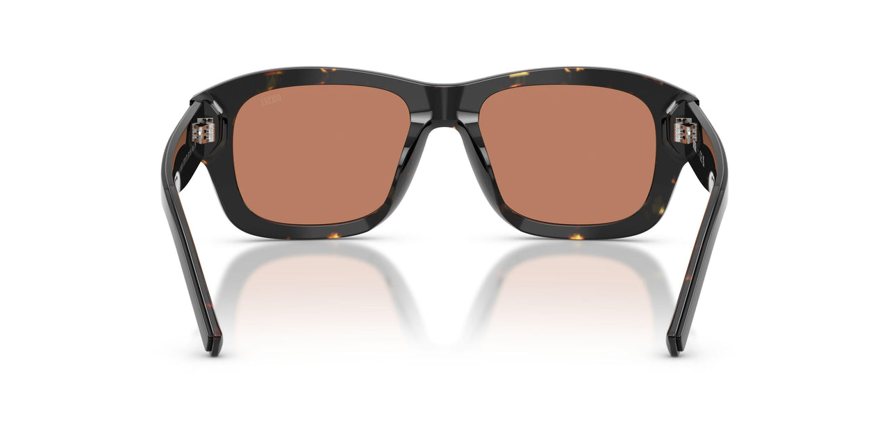 207173 - Black - Brown