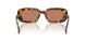 14L90Q - Tortoise - Brown