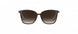 6030 - PURE BROWN - SLM Dark Brown Gradient