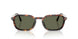 24/58 - Tortoise - Polar Green