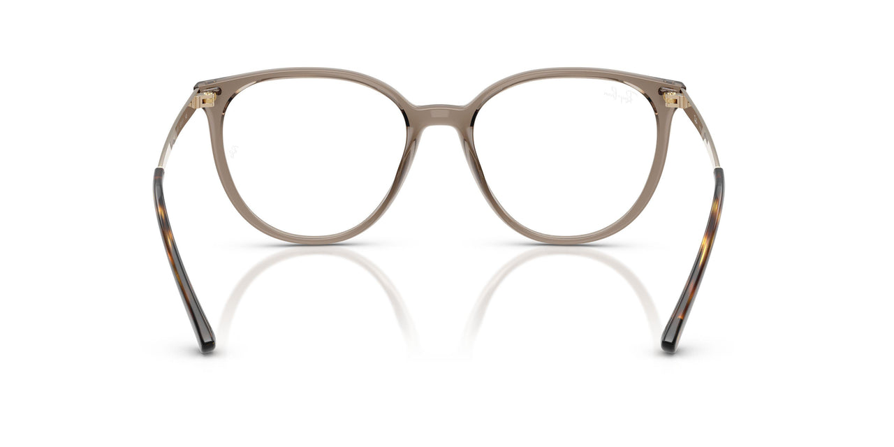 8329 - Brown - Clear