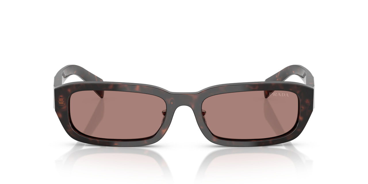 17N60B - Tortoise - Light Brown