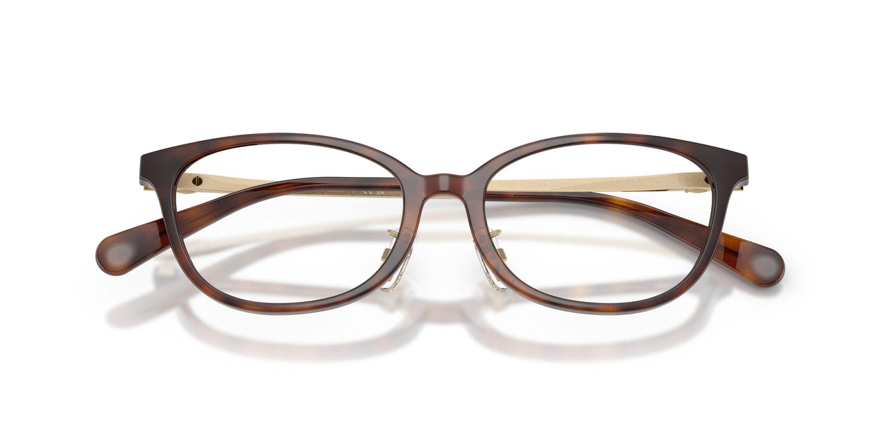 5120 - Tortoise