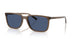 299780 - Brown - Dark Blue