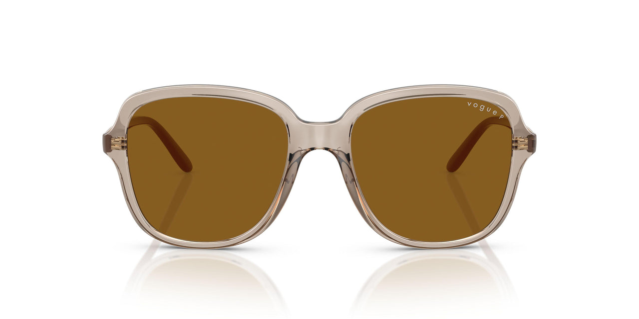 299083 - Brown - Dark Brown Polar