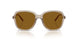 299083 - Brown - Dark Brown Polar