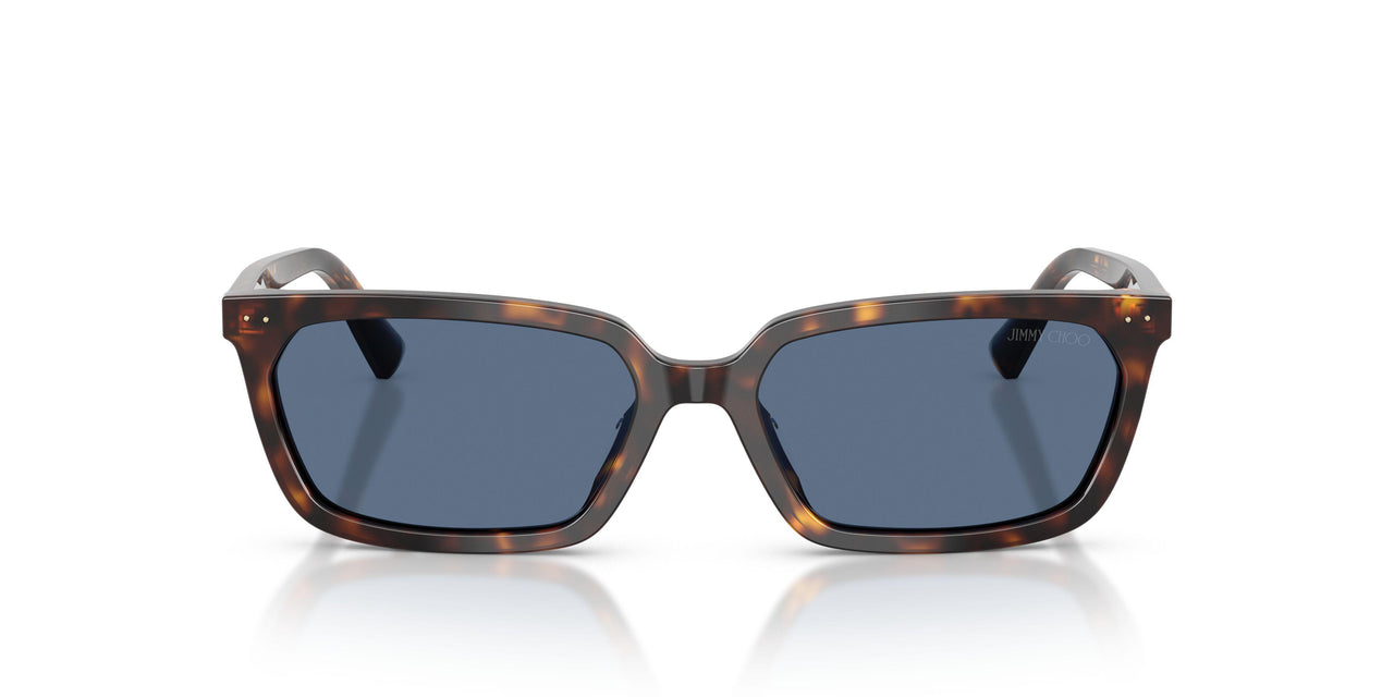 500280 - Tortoise - Blue