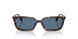 500280 - Tortoise - Blue