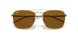 925083 - Gold - Dark Brown Polar