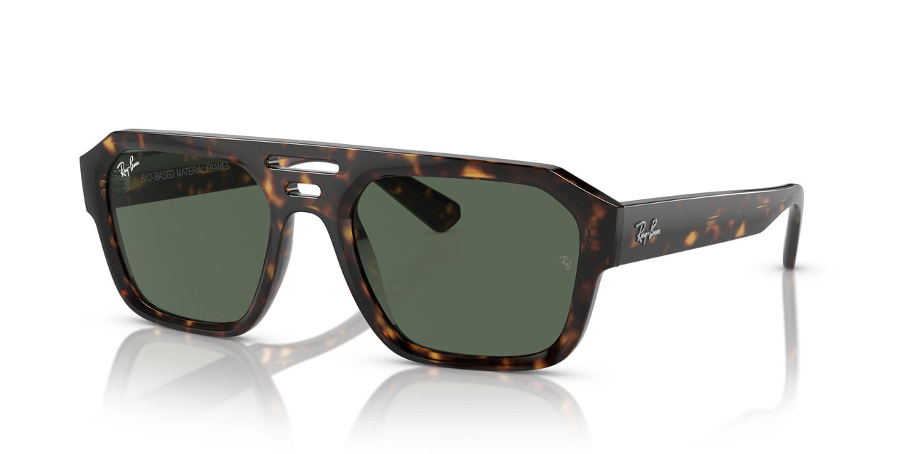 135971 - Tortoise - Dark Blue