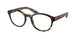 5811O1 - Tortoise
