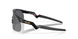 901029 - Black - Prizm Black