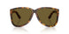 14L09Z - Tortoise - Dark Brown