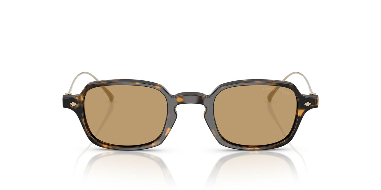 620773 - Tortoise - Brown