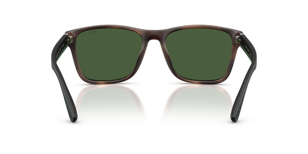 607071 - Tortoise - Bottle Green