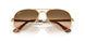 001/51 - Gold - Clear Gradient Brown