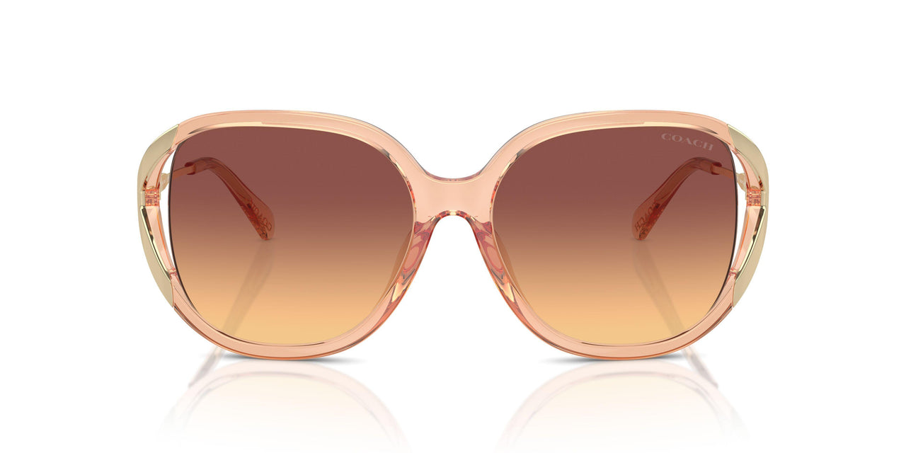 556178 - Brown - Maroon Canary