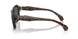 049471 - Tortoise - Green