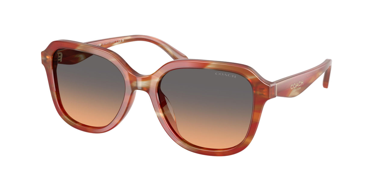 Coach Cby87 8437U Sunglasses