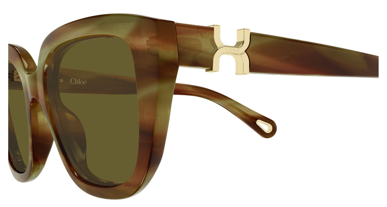 004 - Havana - Brown