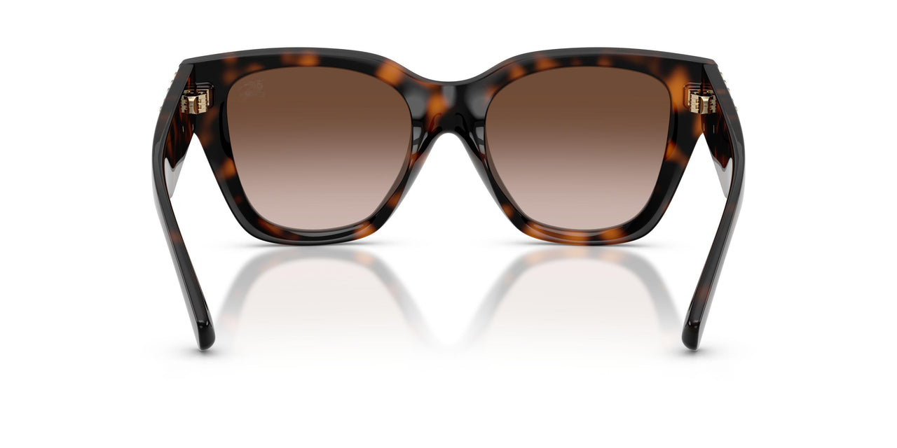 300213 - Brown - Brown Gradient