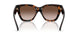 300213 - Brown - Brown Gradient