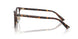 5002 - Tortoise