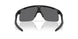 901029 - Black - Prizm Black